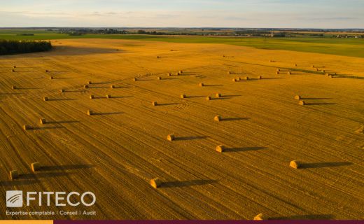 Crédit d'impôts agricole loi de finances 2026